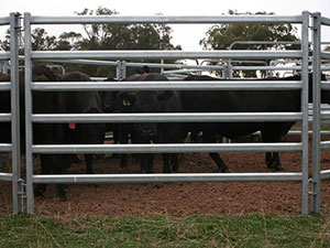 Corral Cattle Fencing Panels