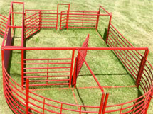 cattle working pens