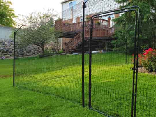 Temporary dog fence rental house