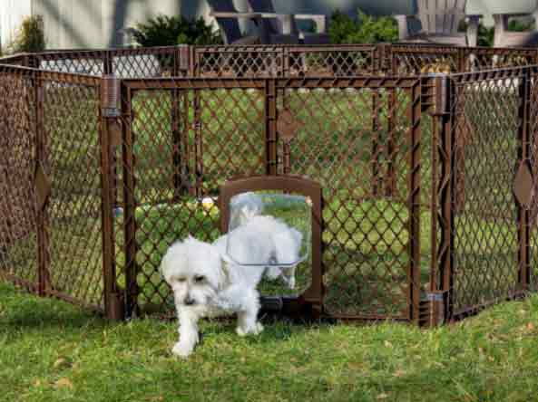 Temporary puppy fence 2