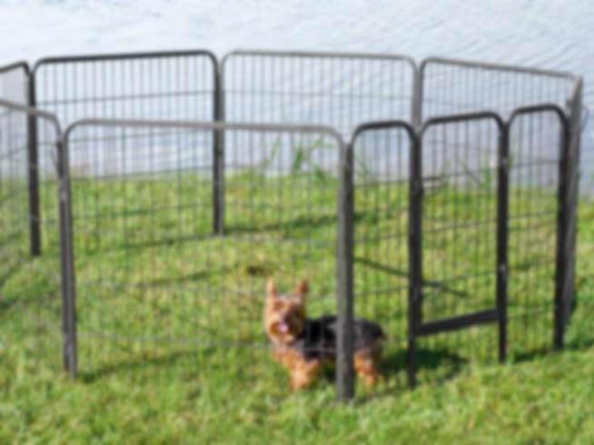 outdoor temporary dog fence1