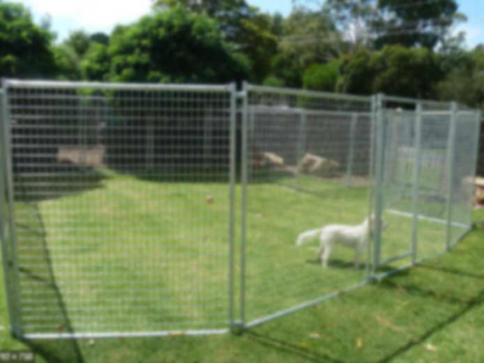 outdoor temporary dog fence2