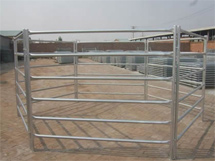 pipe cattle pens 1