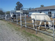 horse fence panels 2